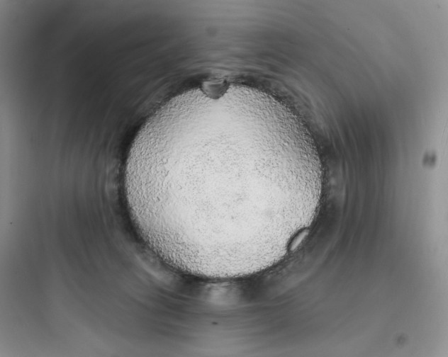 X0000097670275200803211950