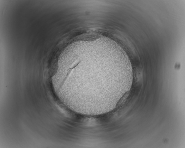 X0000097670276200803211950