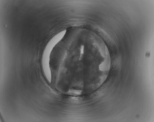 X0000097670277200803211950