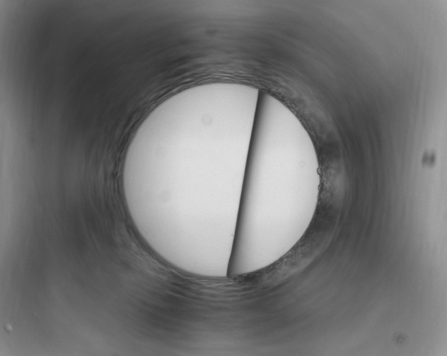 X0000097670278200803211950