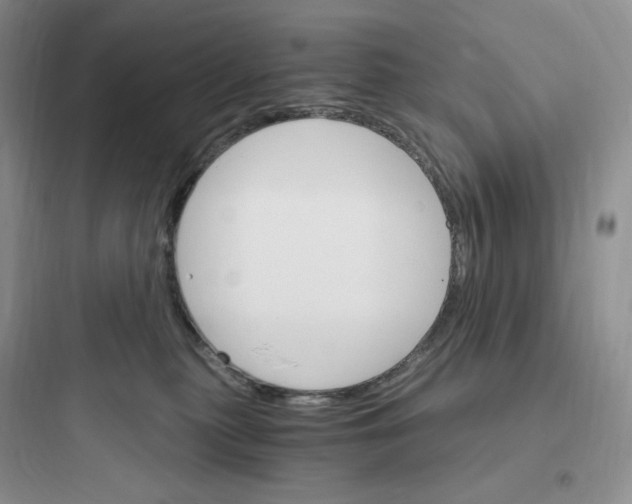 X0000097670279200803211950