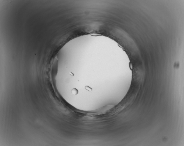 X0000097670280200803211950