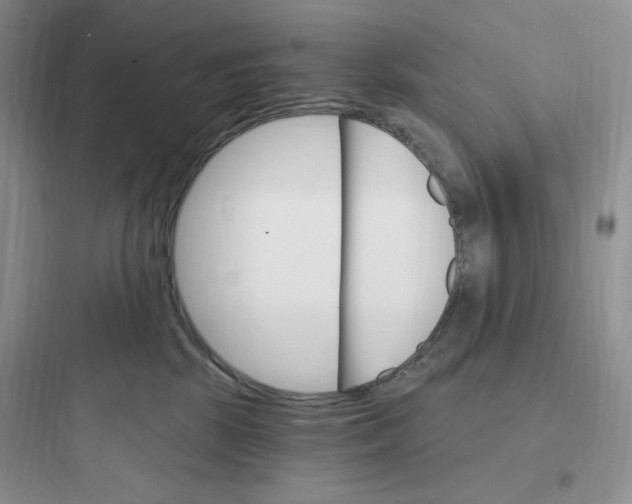 X0000097670281200803211950