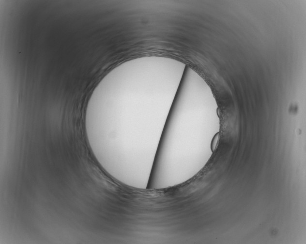 X0000097670282200803211950
