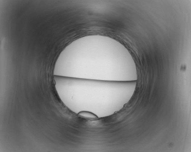 X0000097670283200803211950