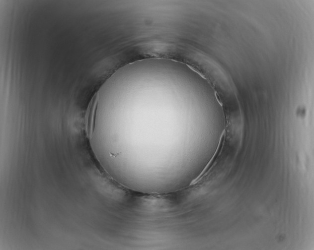 X0000097670284200803211950