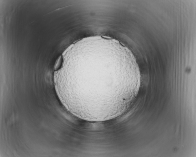 X0000097670286200803211950