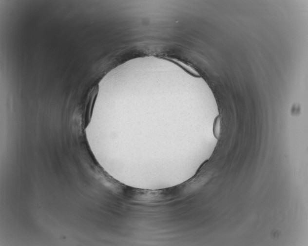 X0000097670288200803211950