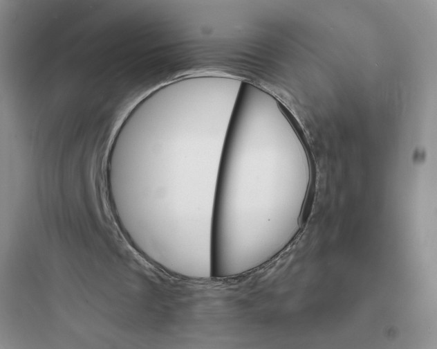 X0000097670289200803211949