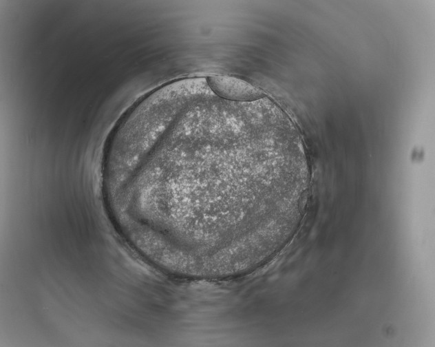 X0000097670290200803211949