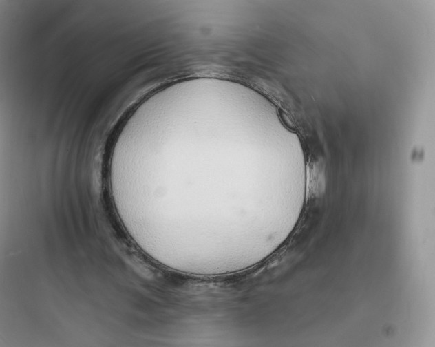 X0000097670291200803211949