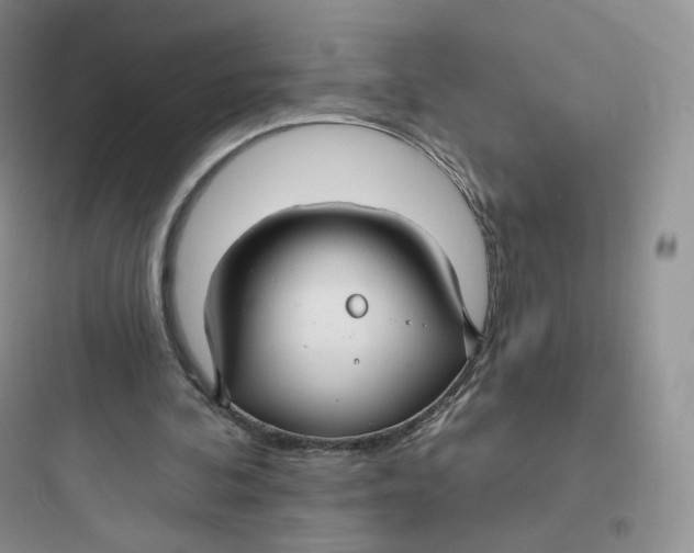 X0000097670292200803211949