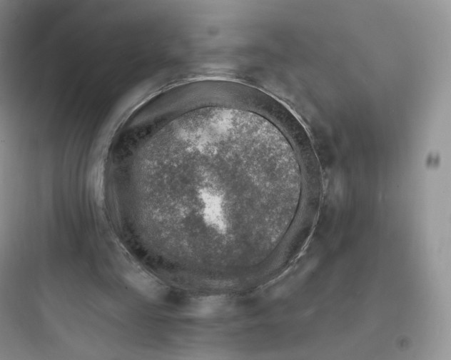 X0000097670293200803211949