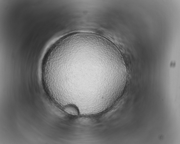 X0000097670294200803211949