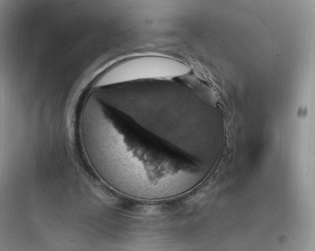 X0000097670295200803211949