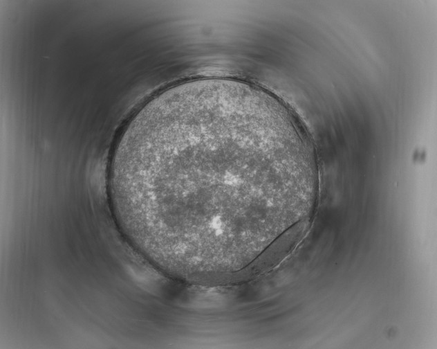 X0000097670297200803211949