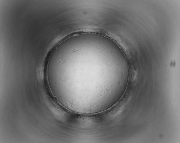 X0000097670299200803211949