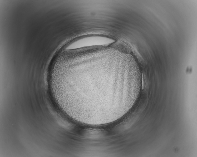 X0000097670300200803211949