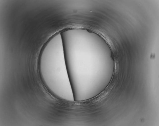 X0000097670301200803211949