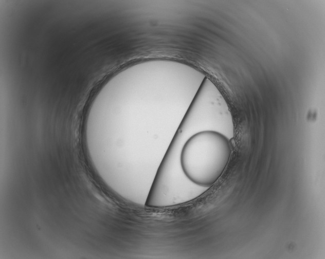 X0000097670303200803211949