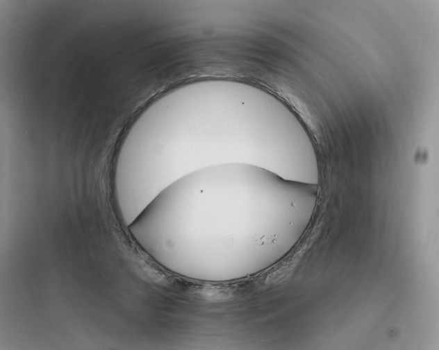 X0000097670305200803211949