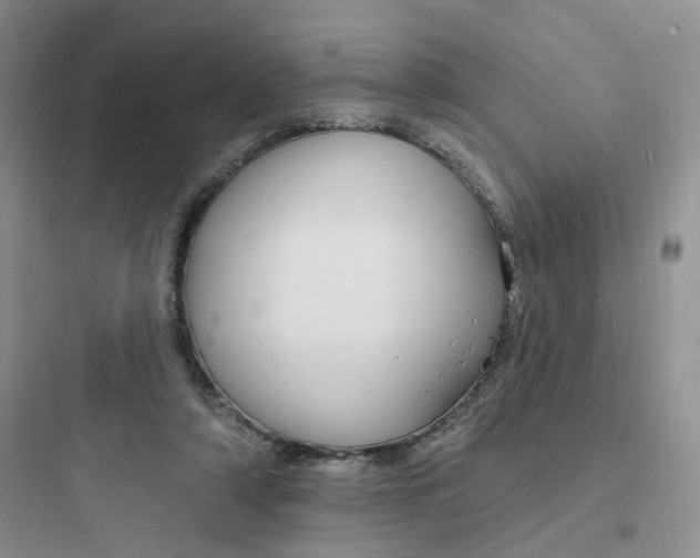 X0000097670306200803211949