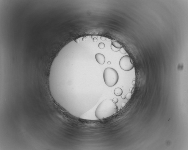 X0000097670307200803211949