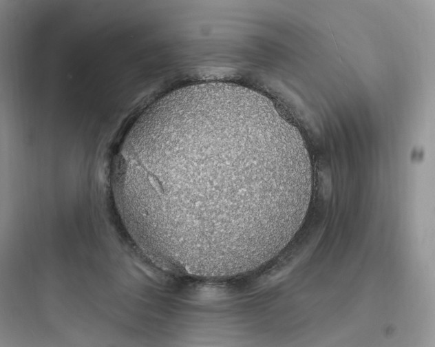 X0000097670308200803211949