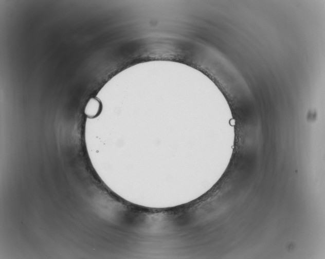 X0000097670309200803211949