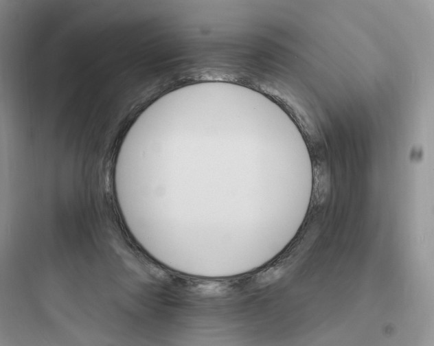 X0000097670310200803211949