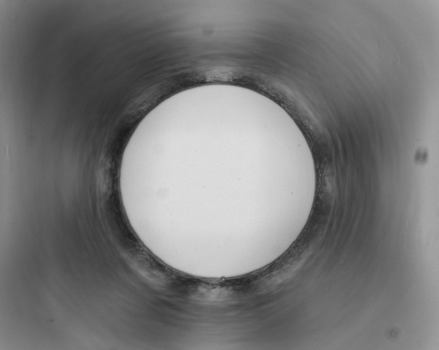 X0000097670311200803211949