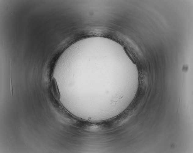 X0000097670312200803211949