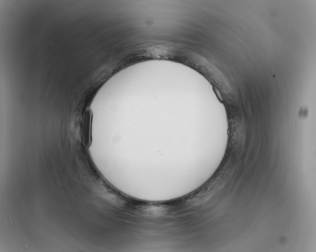 X0000097670313200803211949