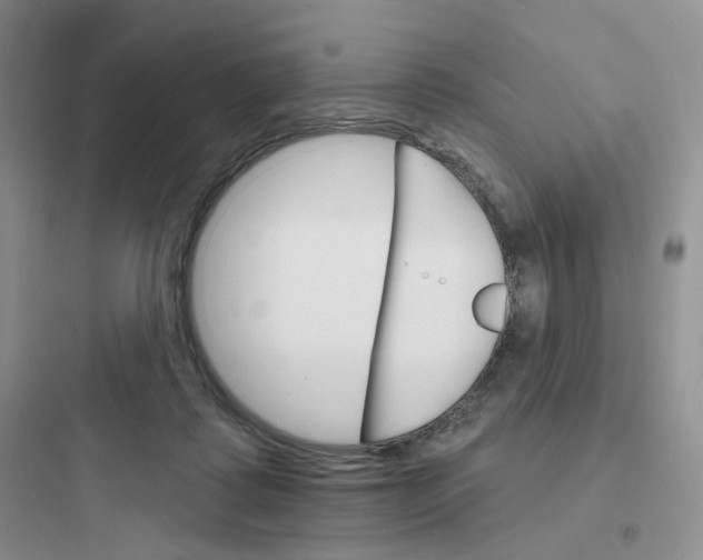 X0000097670315200803211949