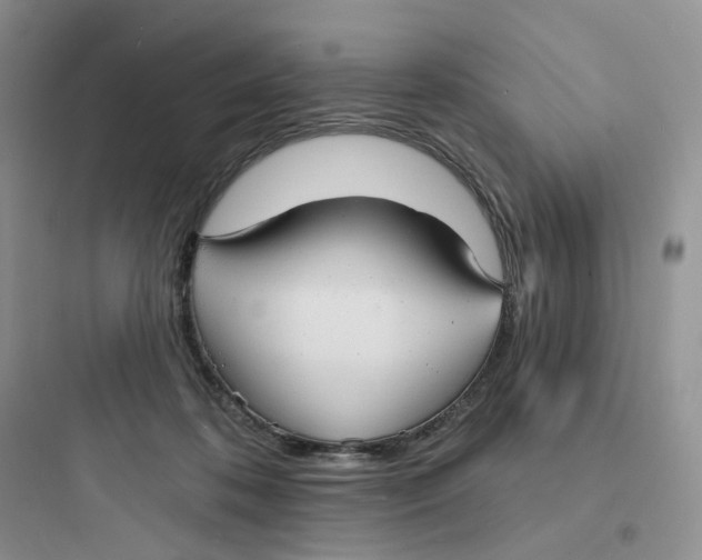 X0000097670316200803211949