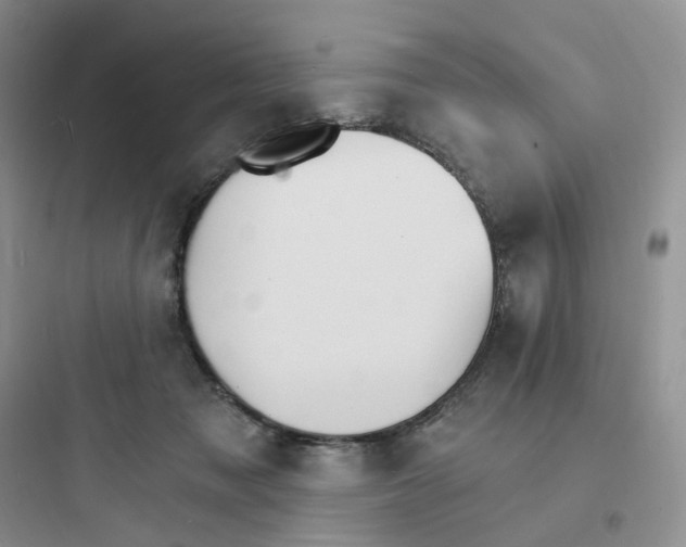 X0000097670317200803211948