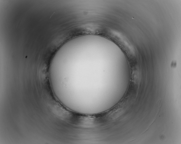 X0000097670318200803211948