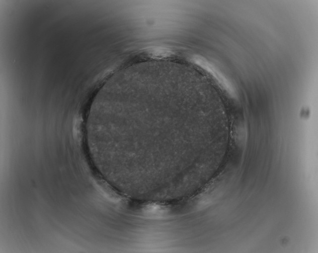 X0000097670319200803211948