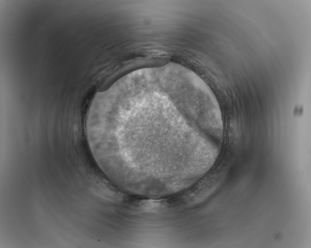 X0000097670320200803211948