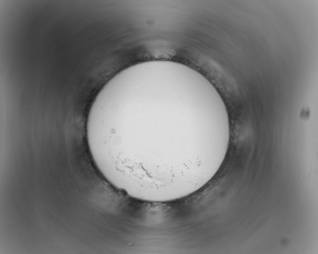 X0000097670321200803211948