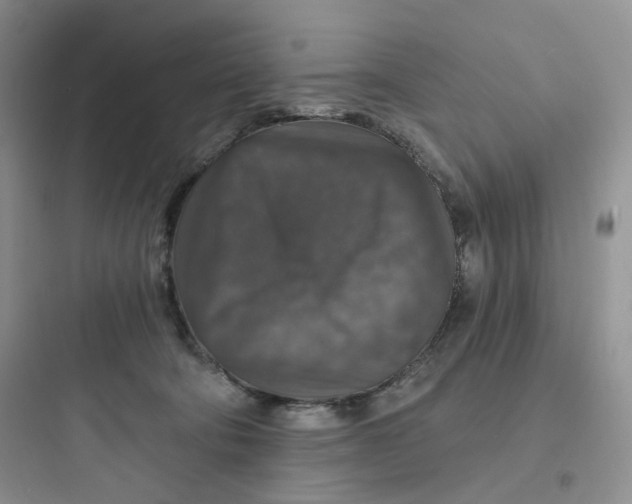 X0000097670322200803211948