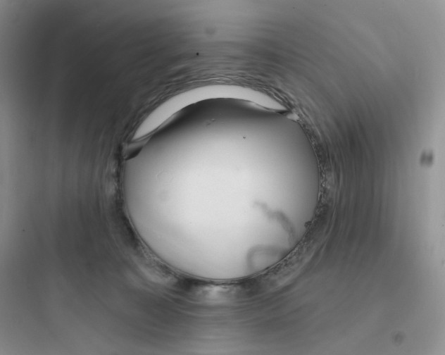 X0000097670323200803211948