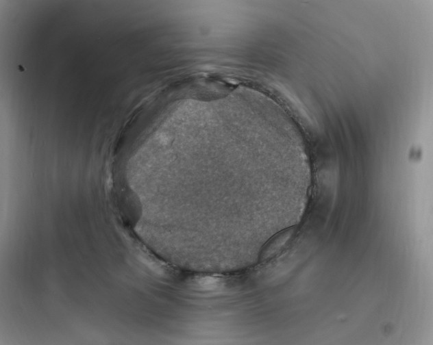 X0000097670325200803211948