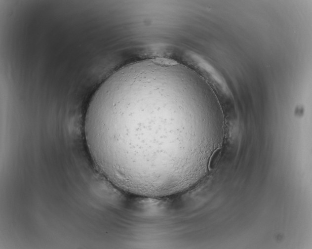 X0000097670326200803211948