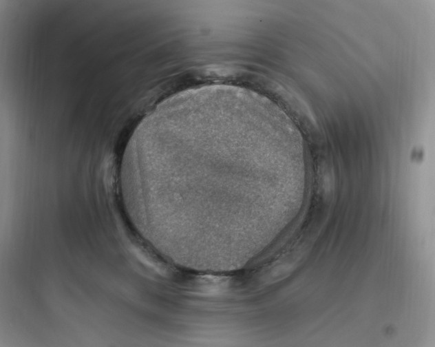 X0000097670328200803211948