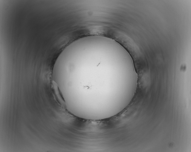 X0000097670329200803211948