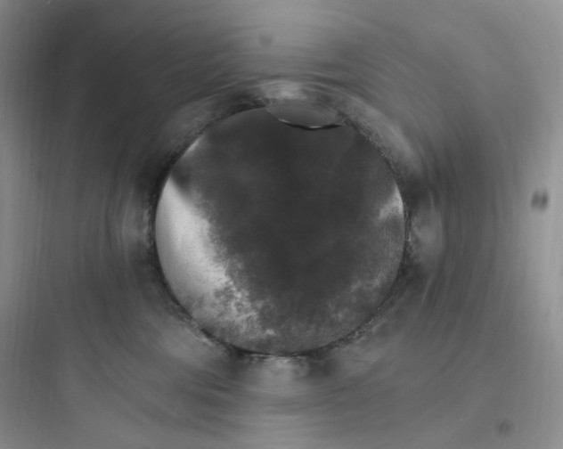 X0000097670330200803211948