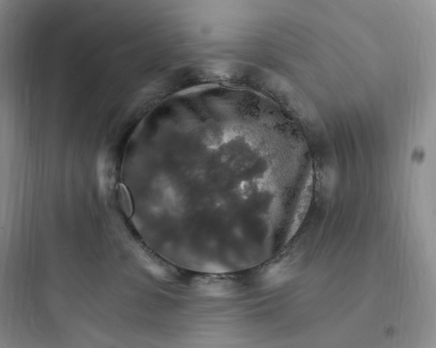 X0000097670331200803211948