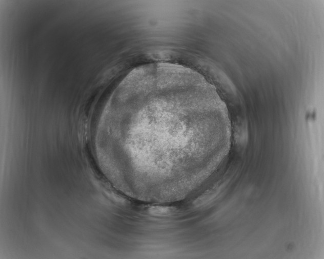 X0000097670332200803211948