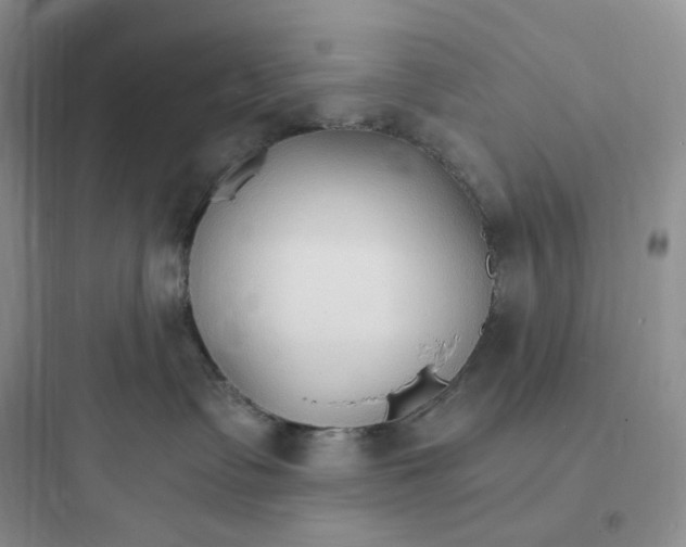 X0000097670335200803211948